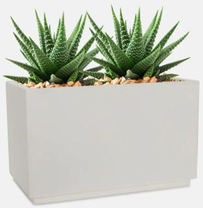 Rectangular Indoor Planters