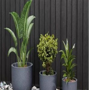 Round Indoor Planters