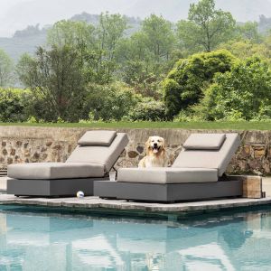 Hotel Pool Loungers