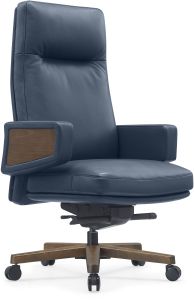 Office Director Chairs