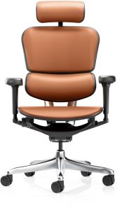 Office Director Chairs