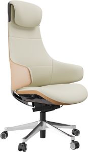 Office Director Chairs