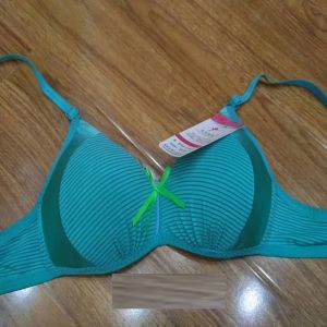 Ladies Padded Bra