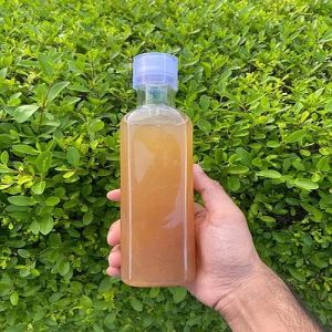 Apple Cider Vinegar