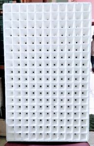 198 Cavity Thermocol Seedling Tray