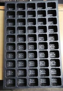 50 Cavity Seedling Tray