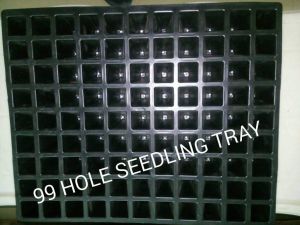 99 Cavity Seedling Tray