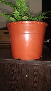 Orange Plastic Nursery Pots
