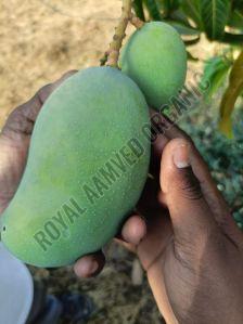 A Grade Fresh Mango