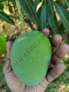 A Grade Fresh Mango