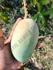 A Grade Fresh Mango