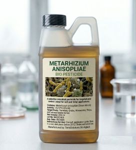Metarhizium Anisopliae Bio Pesticide