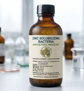 Zinc Solubilizing Bacteria
