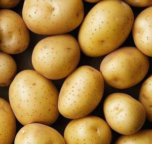 Fresh Potato