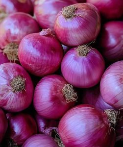 Fresh Red Onion