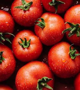 Fresh Red Tomato