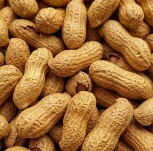 Whole Peanut With Shell