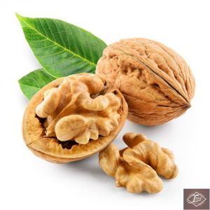 Whole Shell Walnut