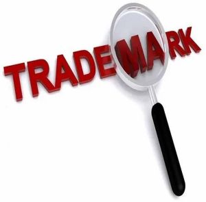 Trademark Registration Consultant Service