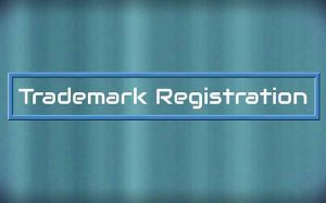 Trademark Registration Service