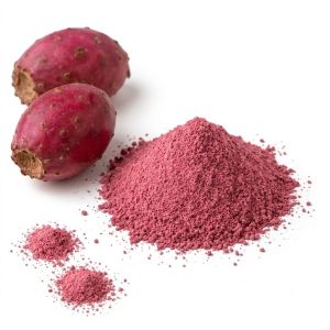 Dehydrated Cactus Fruit Powder