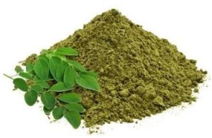 Dehydrated Moringa Powder