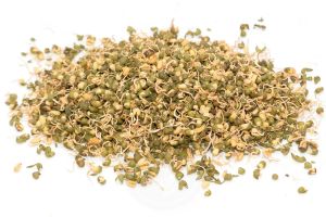 Dehydrated Sprouted Moong