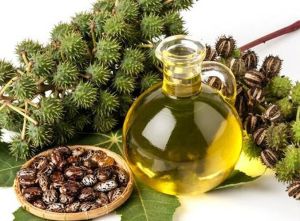 First Special Grade Castor Oil