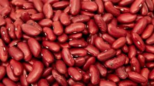 Rajma Beans