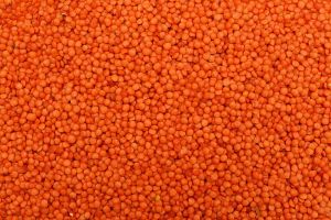Whole Masoor Dal