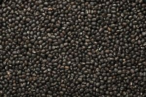 Whole Urad Dal