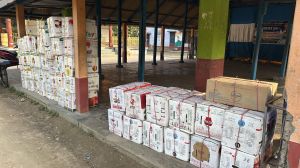 Pink Color Chrysanthemum Plant