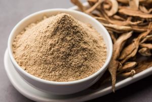 Premium Amchur Powder
