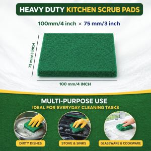 Ezee Shine Nylon Scrub Pad