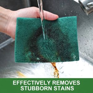 Ezee Shine Nylon Scrub Pad