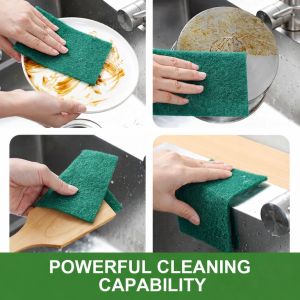 Ezee Shine Nylon Scrub Pad