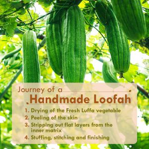 Natural Bath Loofah Scrubber Set