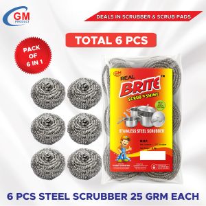 Real Brite Steel Scrubber