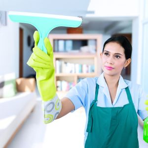 Real Fresh Rubber Blade Kitchen Wiper