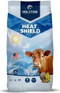 Heat Shield
