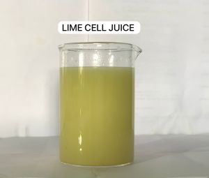 Cell Lime Juice