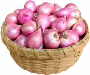 A Grade Dry Shallots Onion