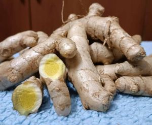 Kasturi Raw Turmeric