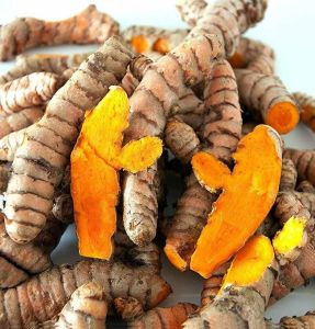 Rajapuri Raw Turmeric