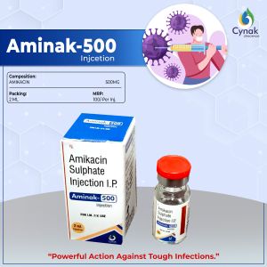 Aminak 500mg Amikacin Injections
