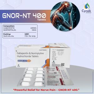 Gnor NT 400 Gabapentin Nortriptyline Tablets