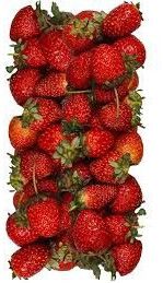 30 Kg Frozen Strawberry