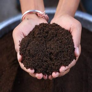 Vermicompost Biochar