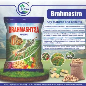 Brahmastra Termite Control