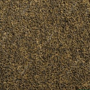 Black Cumin Seed